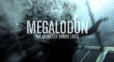 La leyenda del megalodon