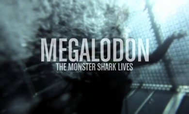 La leyenda del megalodon